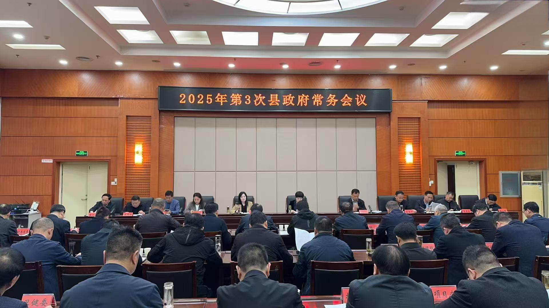 桐柏县人民政府第三次常务会议（2025年3月29日）