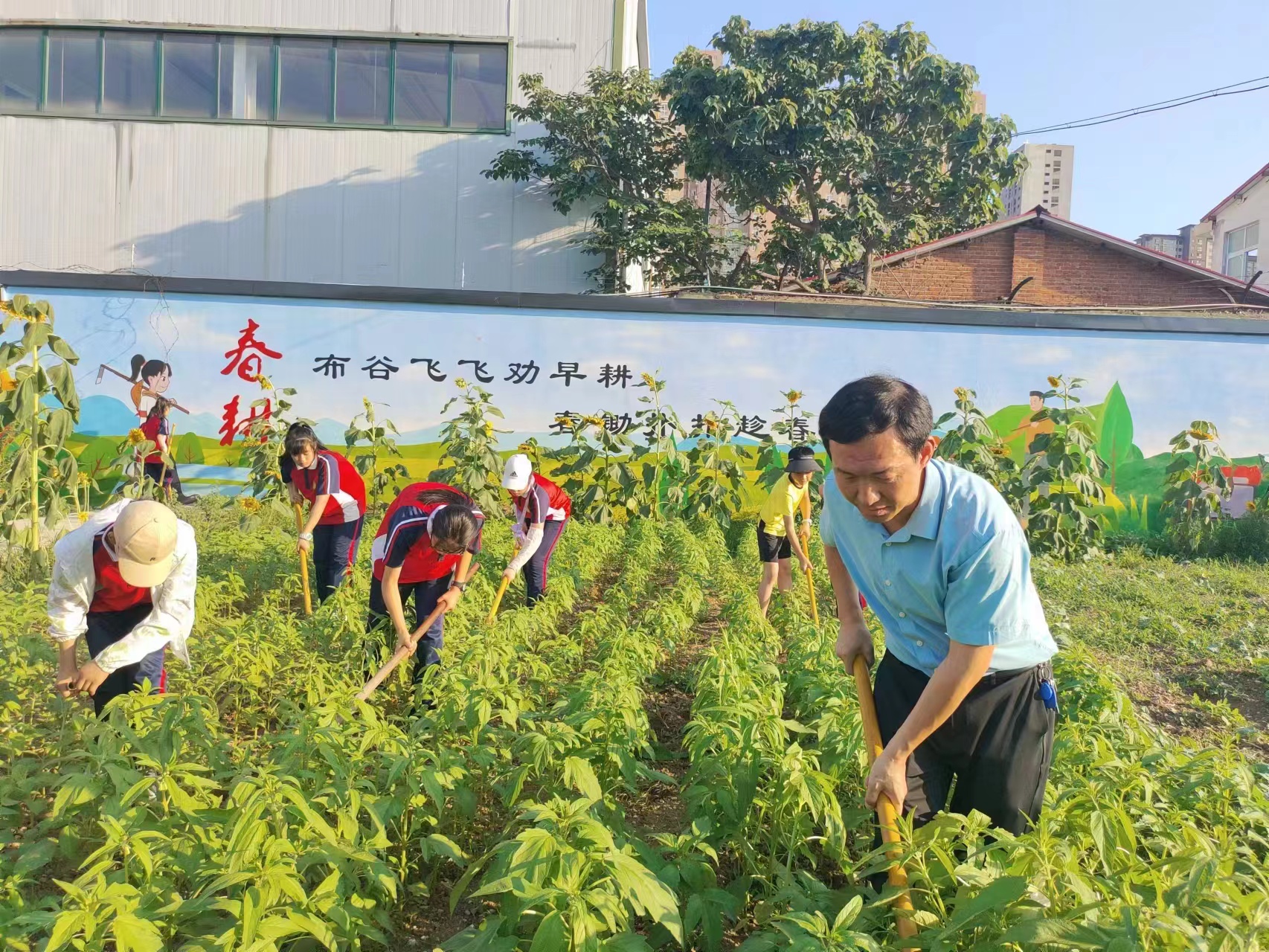 南阳市第二十七小学：劳动教育助成长 “童耕园”里收获多