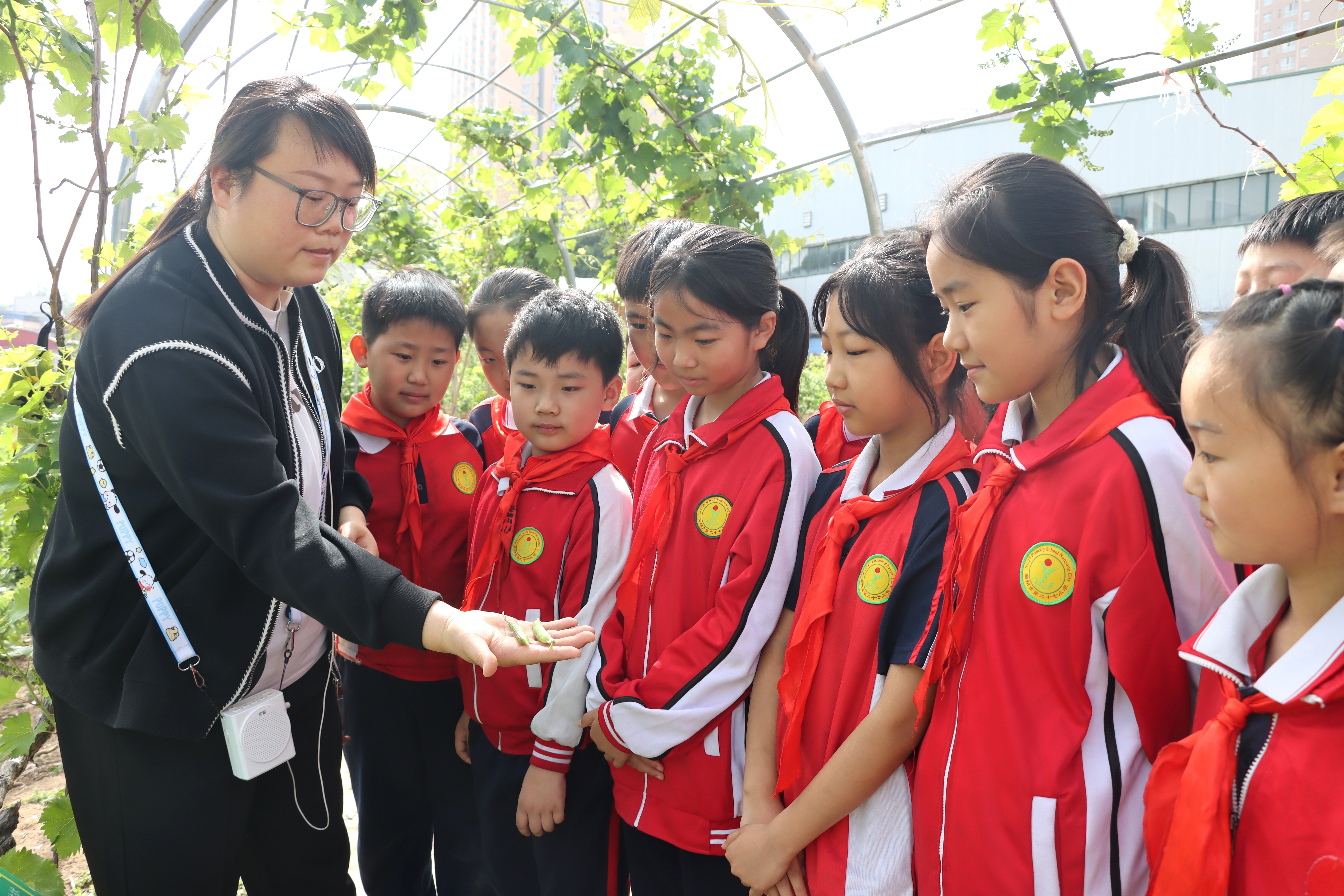 南阳市第二十七小学：劳动教育助成长 “童耕园”里收获多
