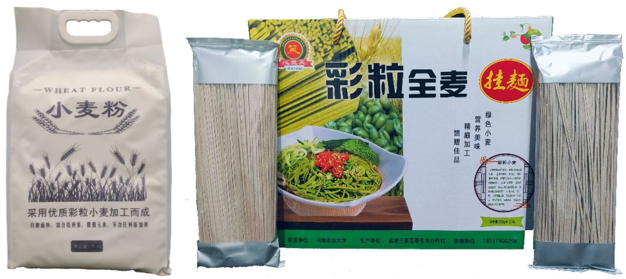科学普及 | 营养健康的彩色小麦