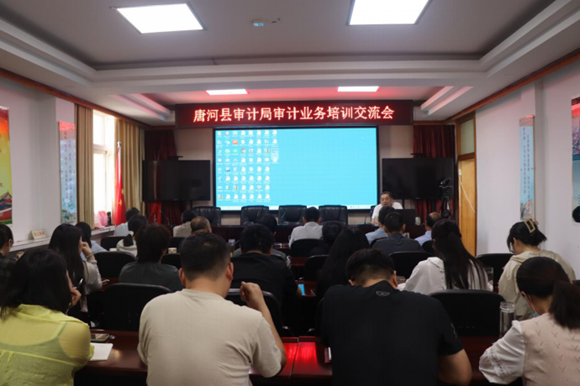 唐河县审计局开展审计业务培训交流会提升审计工作质效