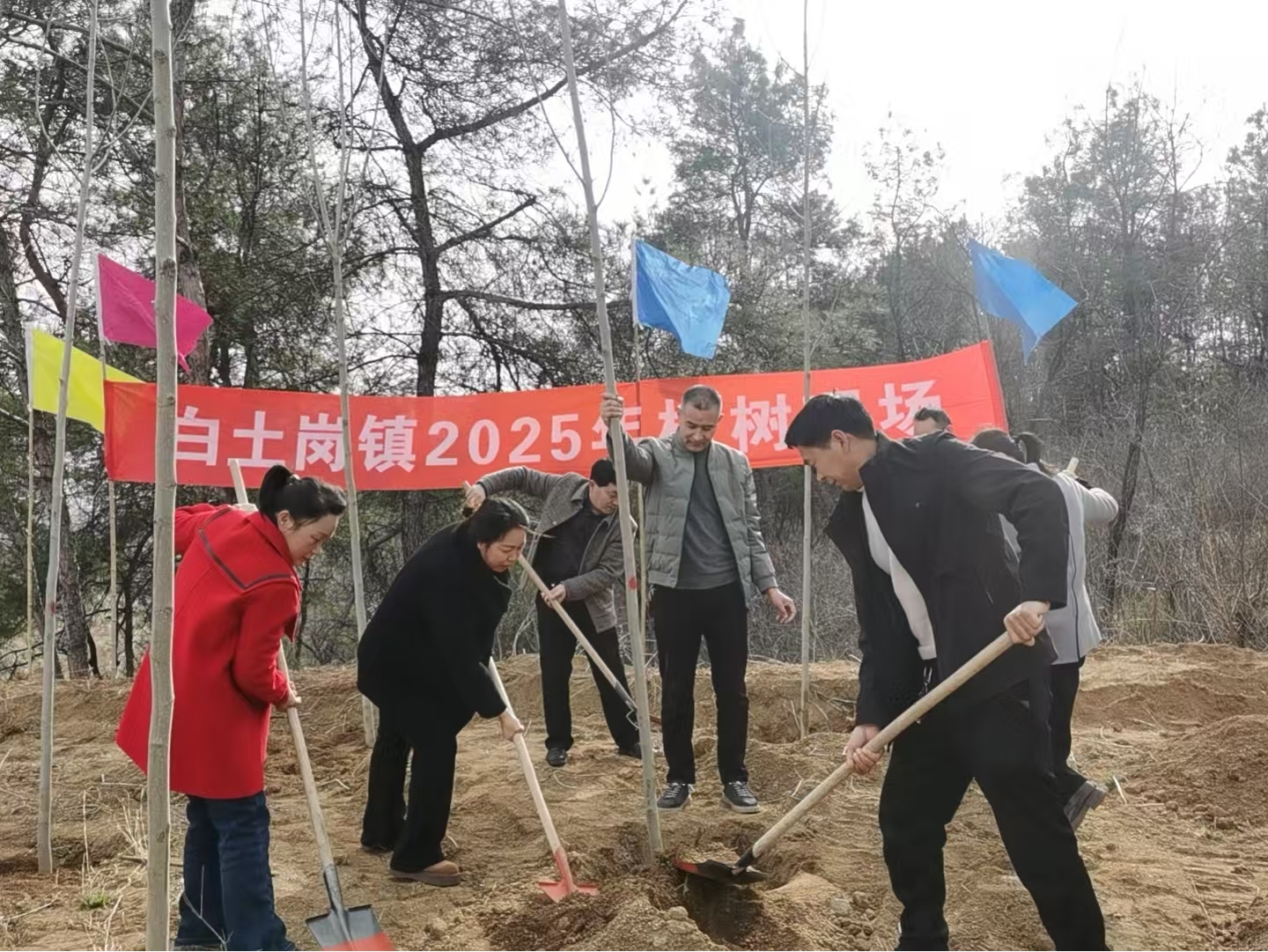 南召县白土岗镇：植树造林添新绿 共绘美丽新画卷