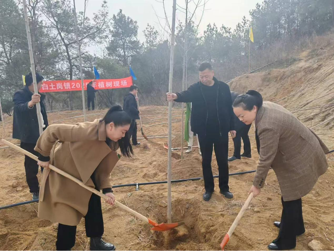 南召县白土岗镇：植树造林添新绿 共绘美丽新画卷
