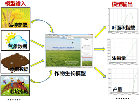 作物产量“预知术”？遥感“天眼”与模型“大脑”的“梦幻组合”