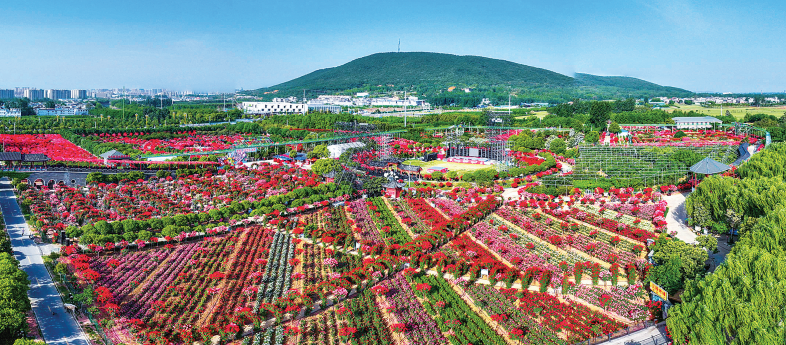 南阳市七届人大二次会议胜利闭幕