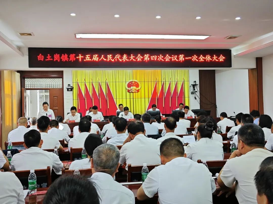 南召县白土岗镇第十五届人民代表大会第四次会议顺利召开