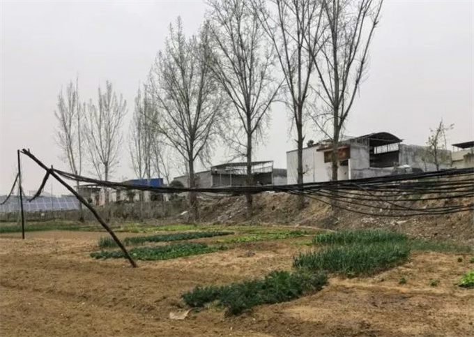南召县：清除线杆线缆隐患 筑牢民生安全防线