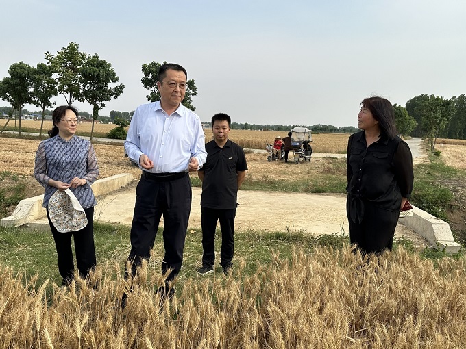 区示范区：扎实做好“三夏”生产及防汛工作