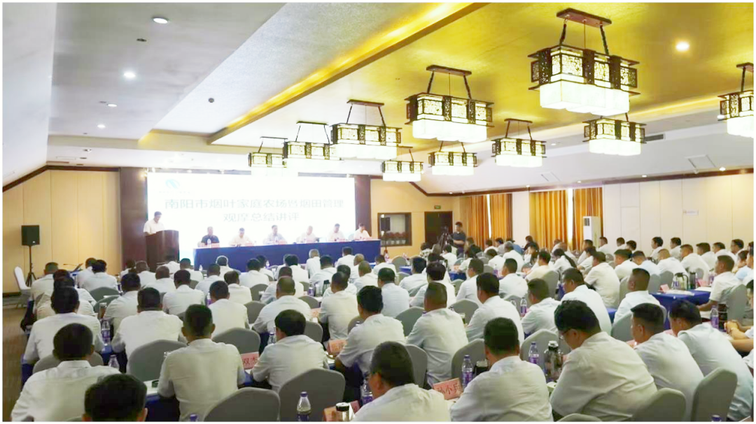 全市以烟为主家庭农场暨烟田管理观摩交流会在唐河县召开