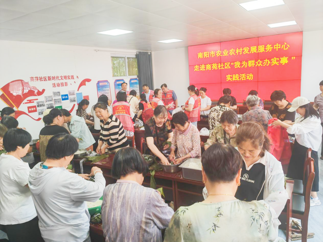 南阳市农业农村发展服务中心联合商苑社区开展端午节主题活动
