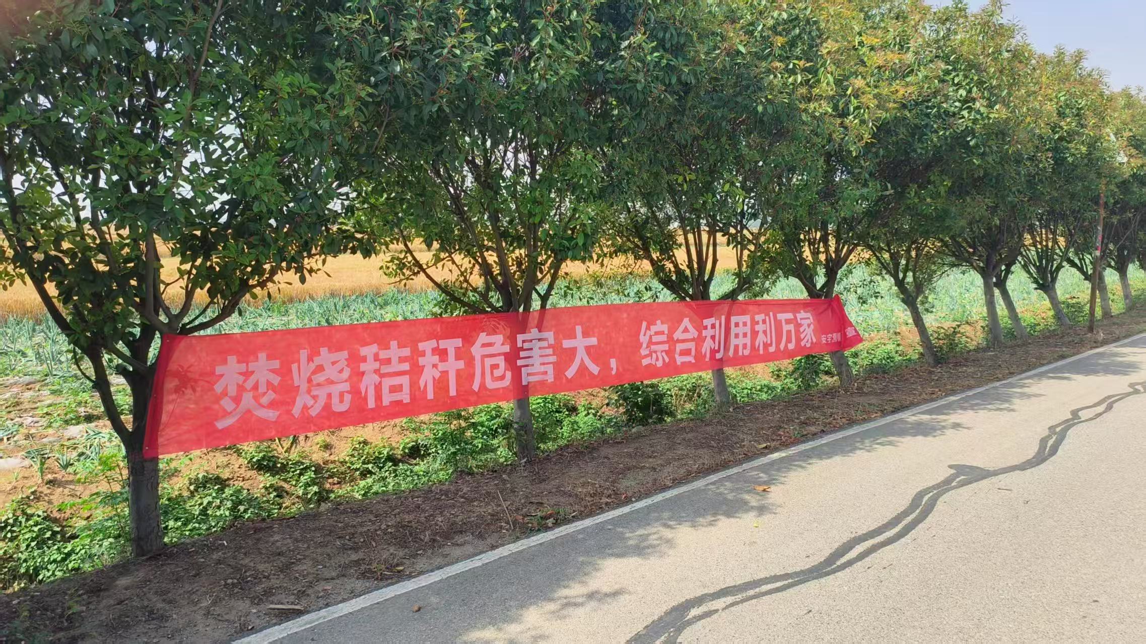 镇平县安字营镇：筑牢秸秆禁烧“防护网”
