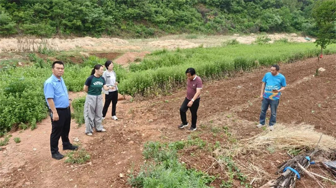 淅川分局一线督导促提升 淅川农村污水治理显成效