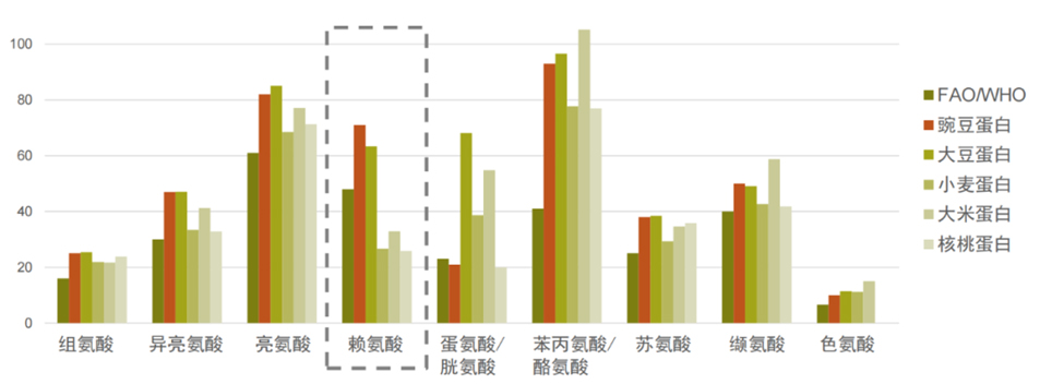 科学普及 | 进击的豌豆和豌豆蛋白