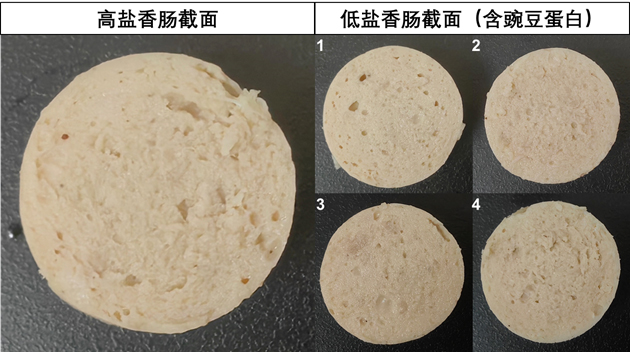 科学普及 | 进击的豌豆和豌豆蛋白
