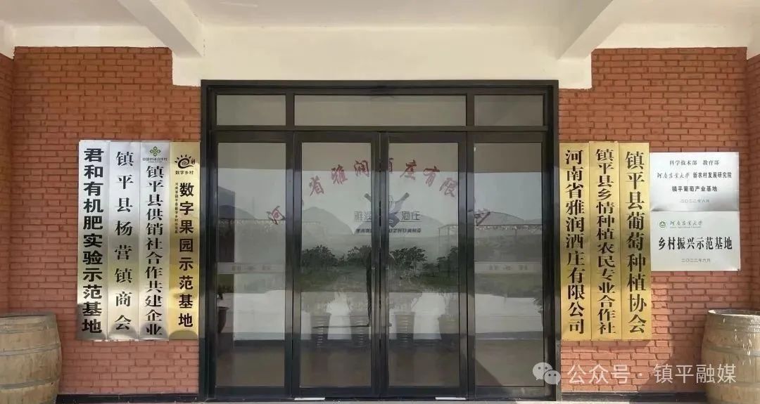 镇平：有机葡萄园里的“头雁”答卷 —探秘镇平雅润酒庄的盛夏农事图