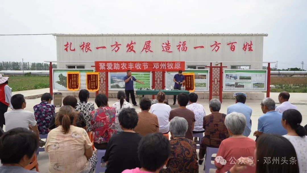 邓州牧原小麦丰收节举行“擂台”赛