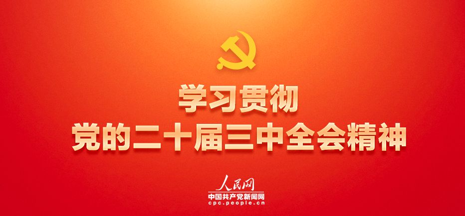 学习贯彻党的党的二十届三中全会精神