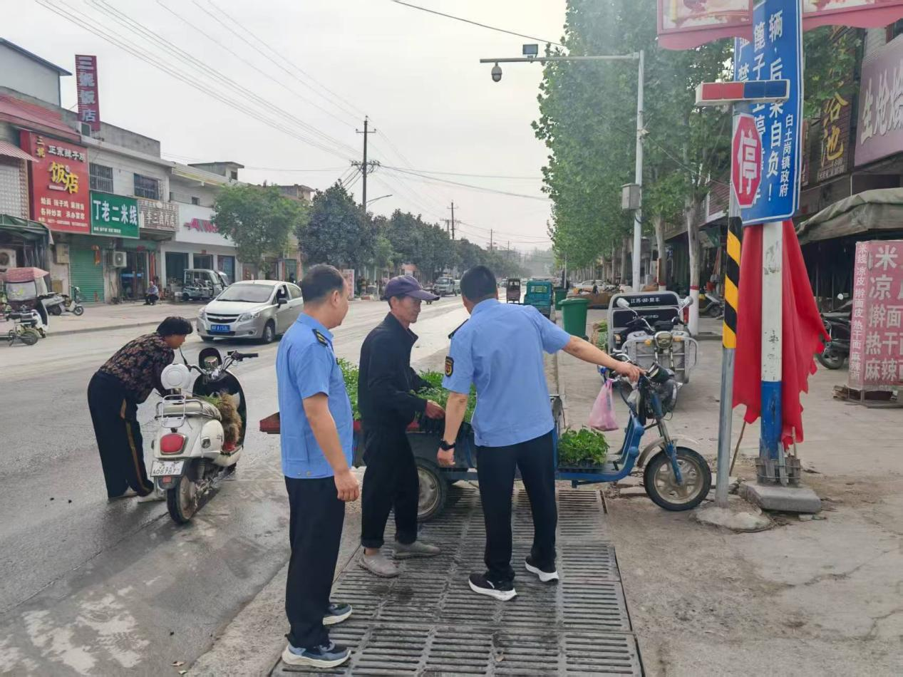 规范街面秩序，提升镇域环境