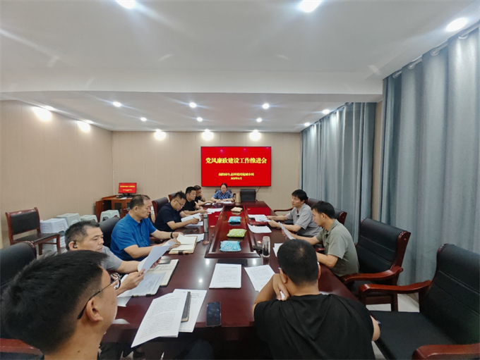 宛城分局传达学习上级党的建设工作领导小组（扩大）会议精神