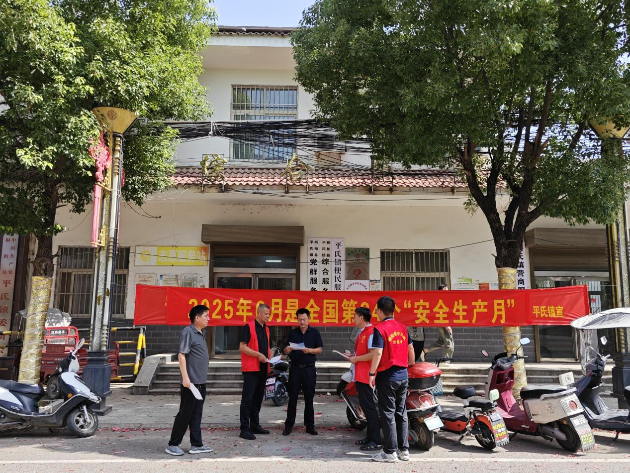 桐柏县平氏镇扎实开展安全生产日主题 活动