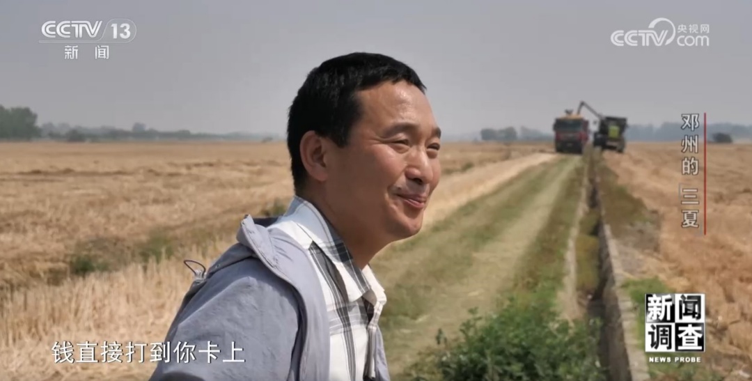 新闻调查丨农业社会化服务不断成熟 来看粮仓邓州的实践