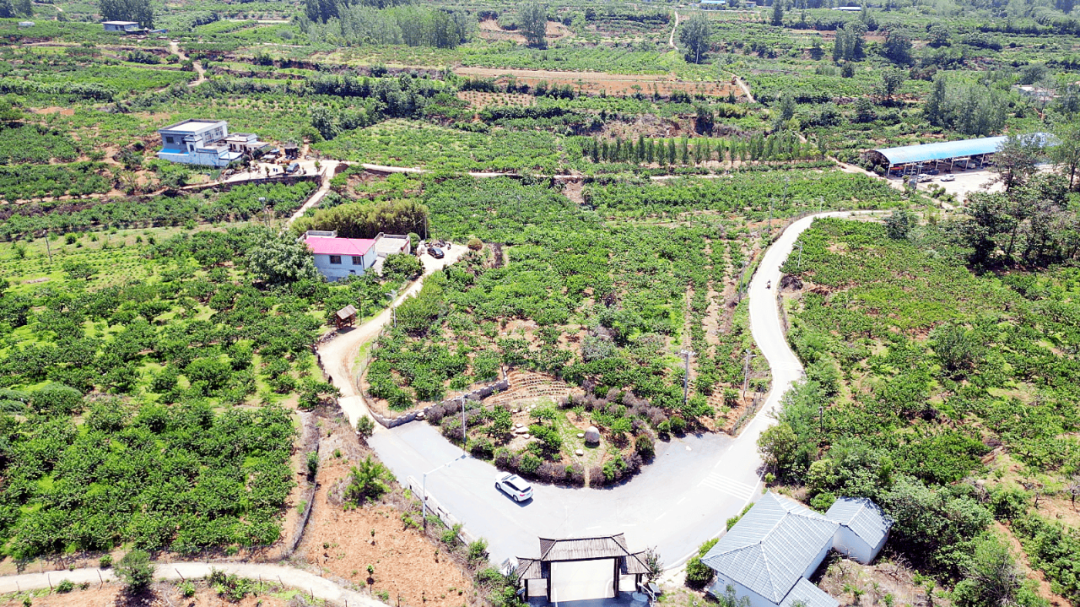 南召县云阳镇：文旅融合奏强音 绘就振兴新图景