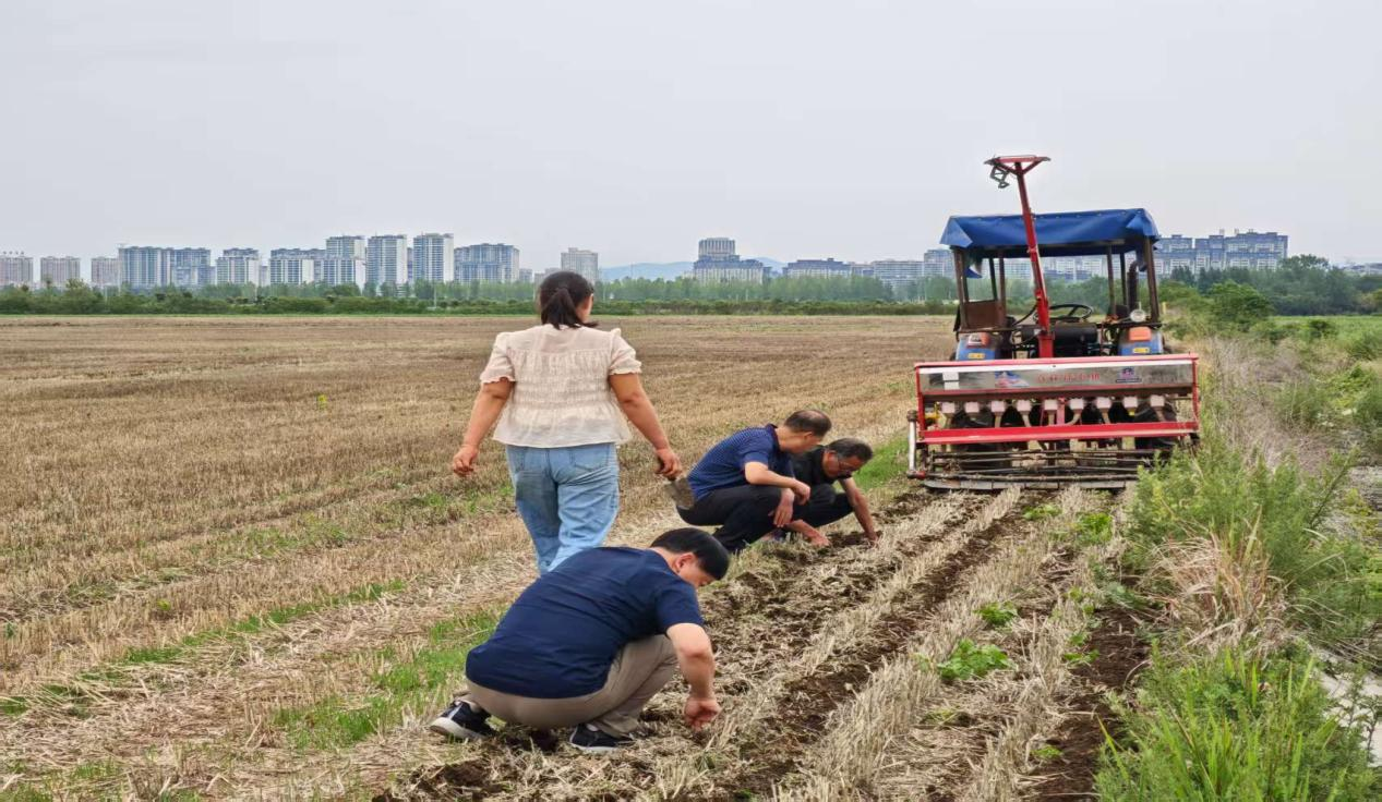 镇平县推广大豆根瘤菌接种技术 3000亩示范田实现全生育期节肥