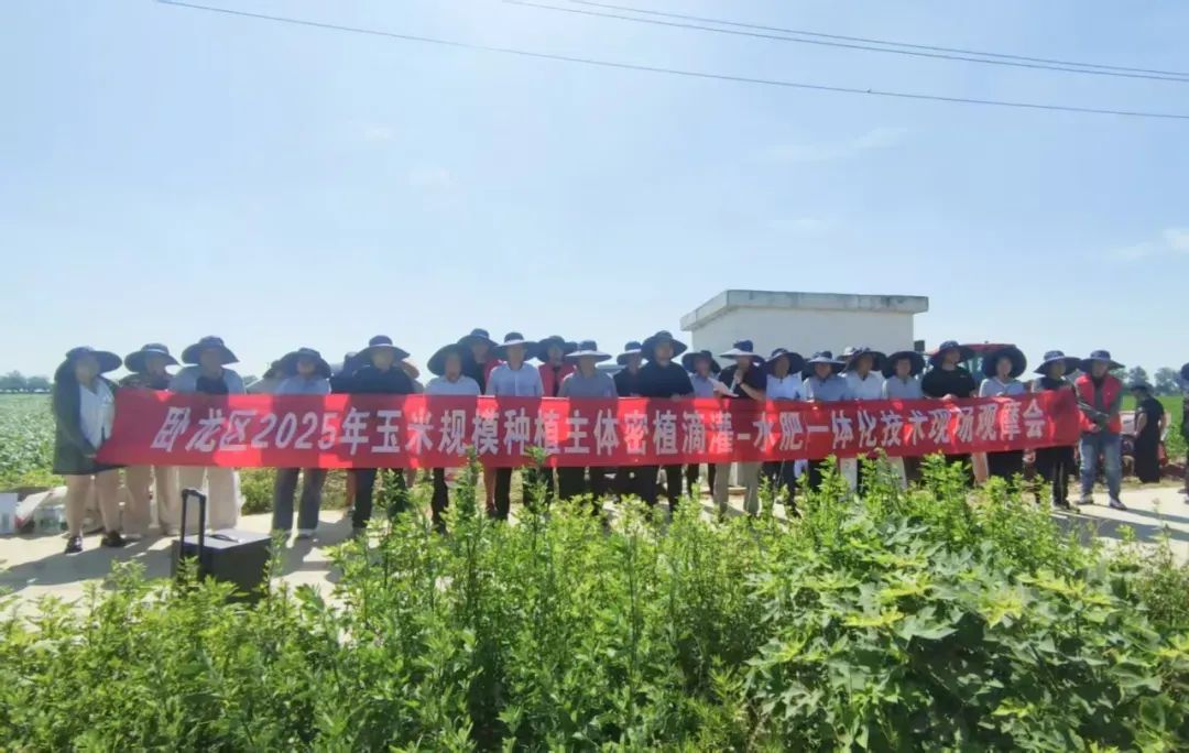 卧龙区举办2025年玉米规模种植主体密植滴灌——水肥一体化技术现场观摩会 