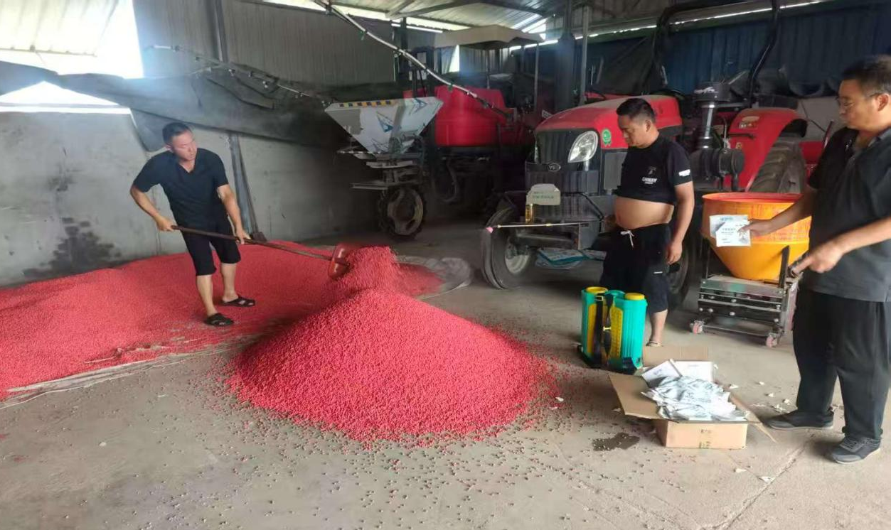 镇平县推广大豆根瘤菌接种技术 3000亩示范田实现全生育期节肥