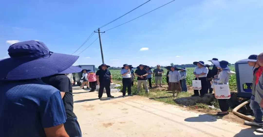 卧龙区举办2025年玉米规模种植主体密植滴灌——水肥一体化技术现场观摩会 