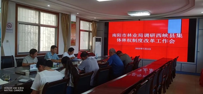 市林业局调研深化集体林权制度改革工作