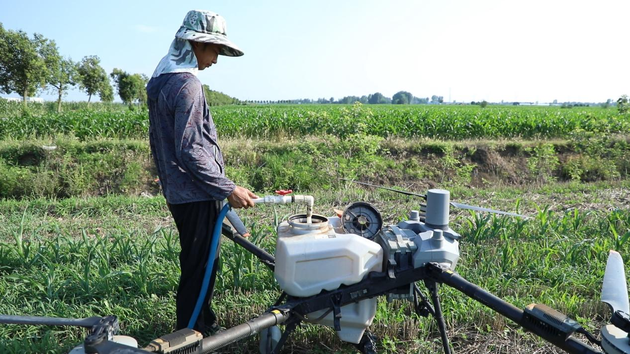 科技赋能农业生产 无人机助力玉米控旺