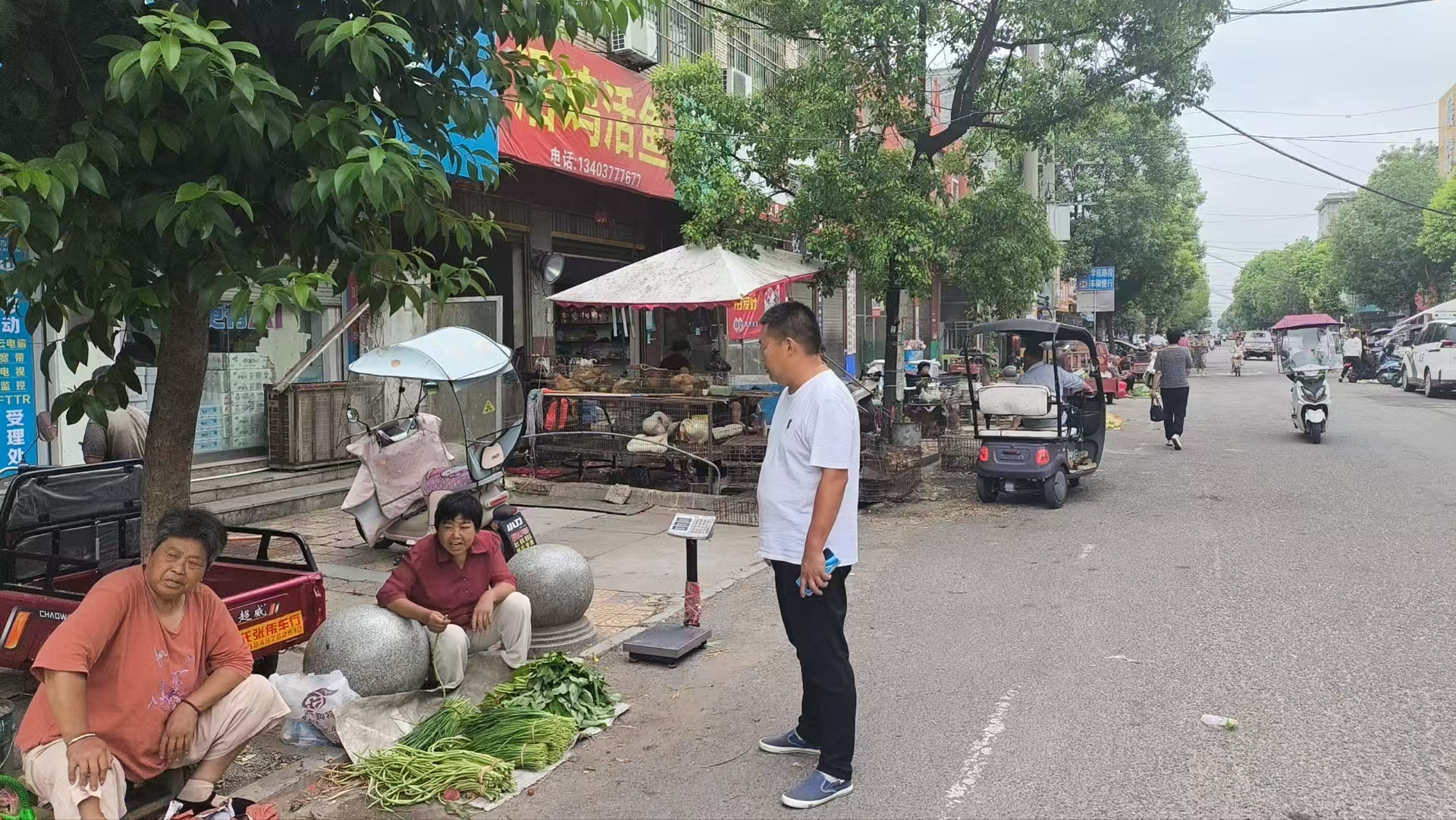 桐柏县平氏镇：纾民困解民忧 书写 为民篇章