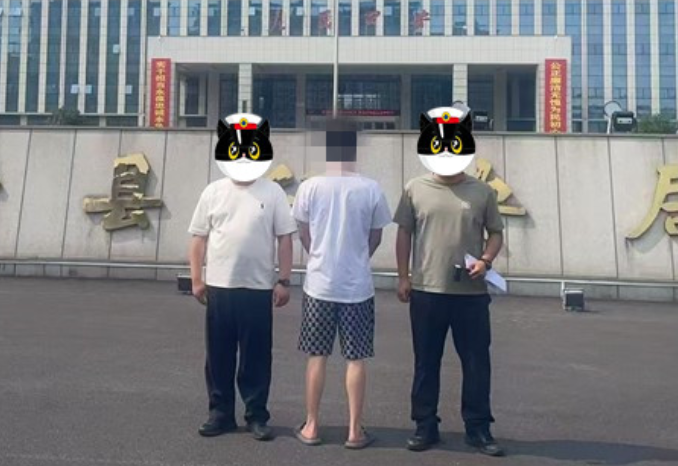 镇平公安：法网恢恢，疏而不漏！