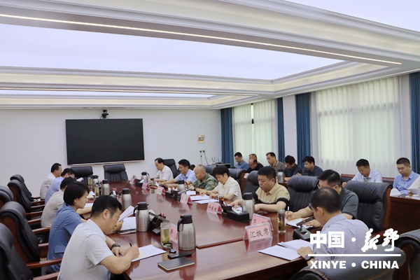 新野县委常委会会议研究十三届县委八次全会筹备有关工作