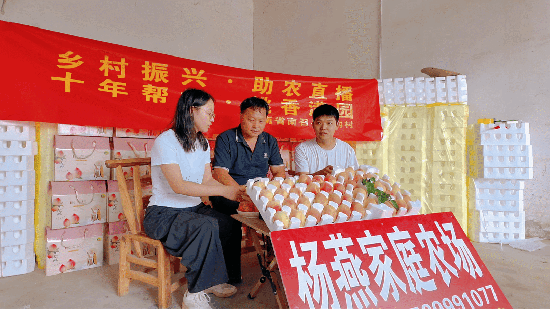 南召：“党建红”引领“产业兴”“桃联盟”破题“振兴卷”