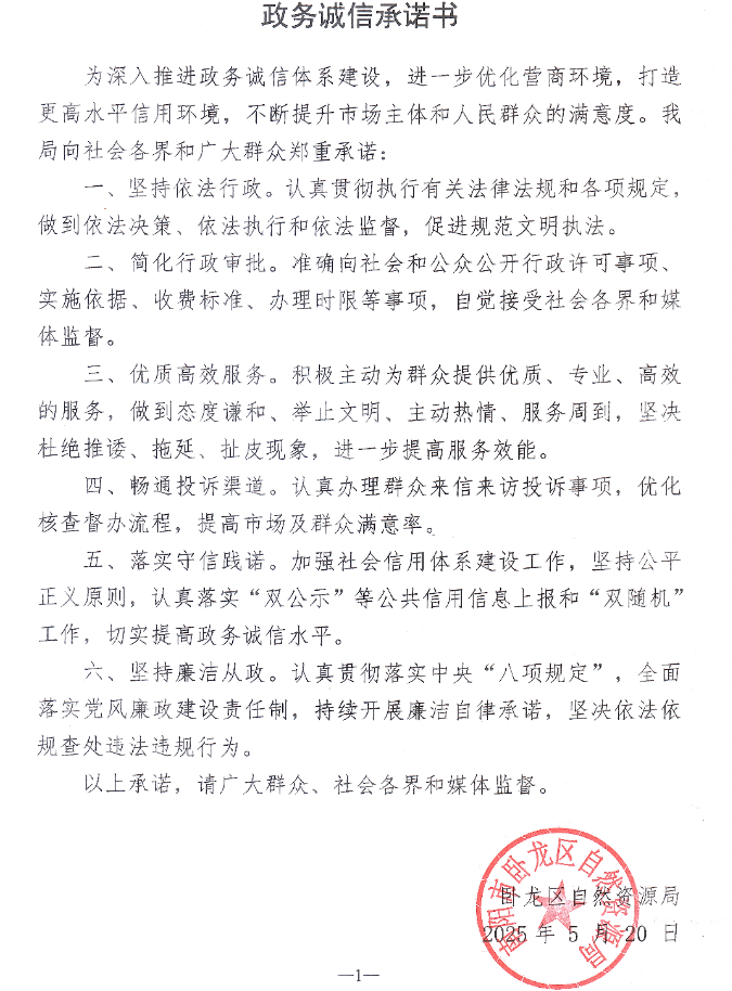 政务诚信承诺书