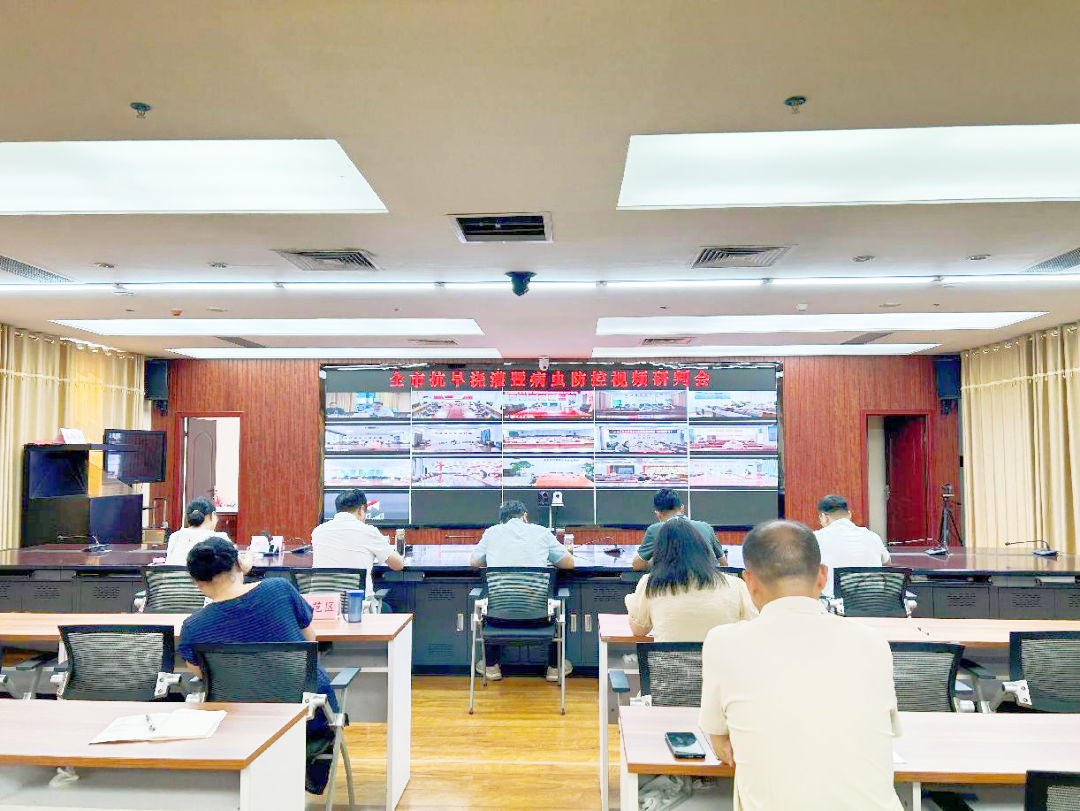 市农业农村局召开全市秋作物抗旱浇灌暨病虫防控视频研判会