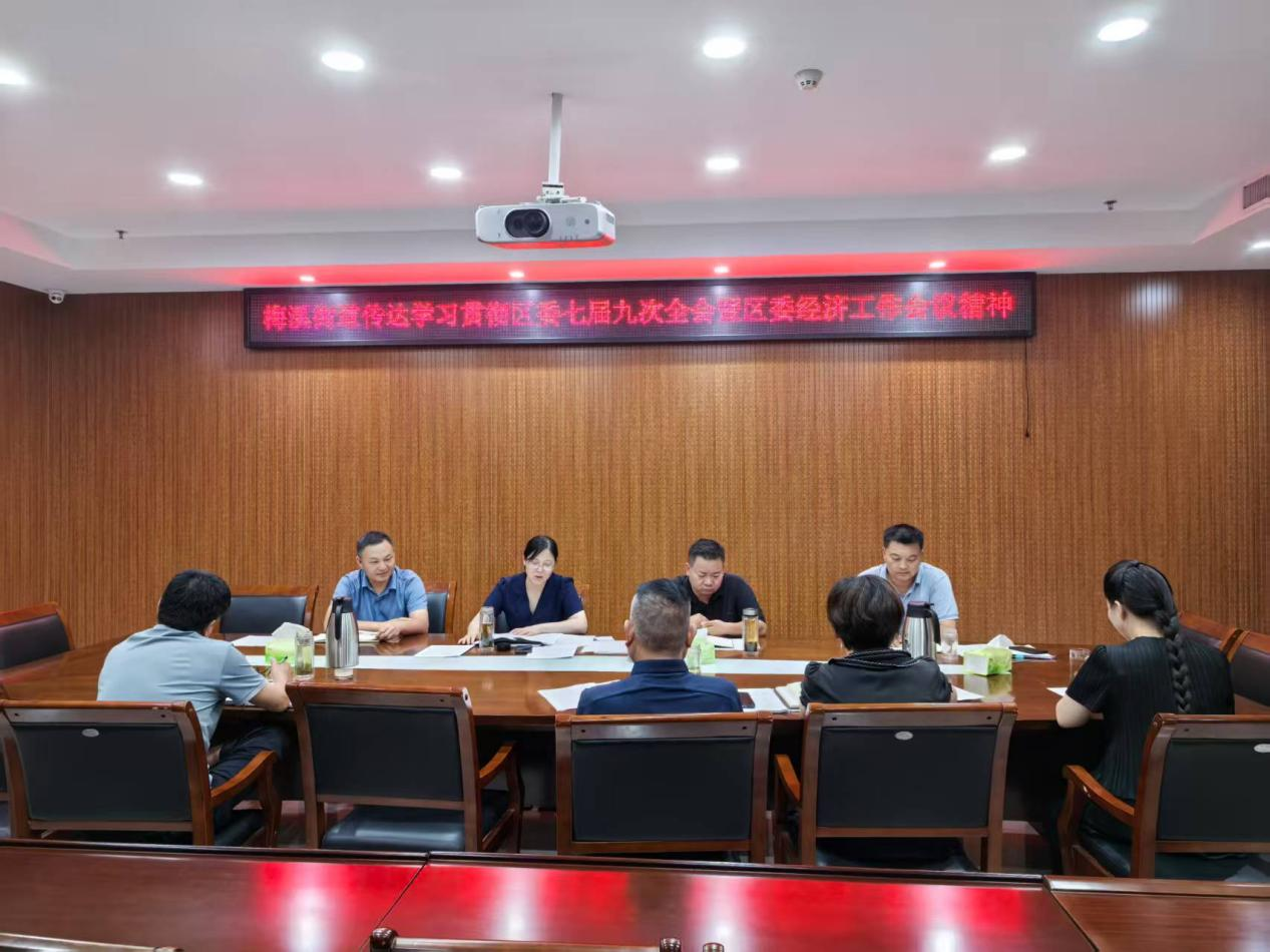 梅溪街道传达学习贯彻区委七届九次全会暨区委经济工作会议精神
