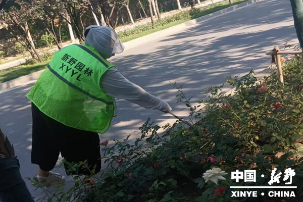 （应对情况）县城管局园林中心：高温下的 “护绿人” 以坚守绘就城市绿色底蕴
