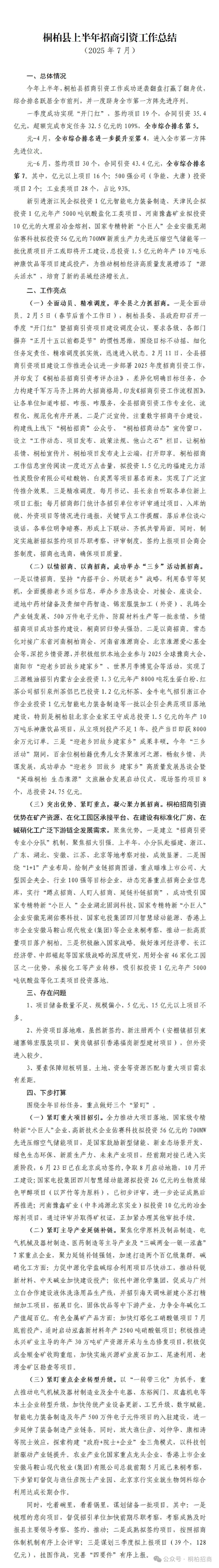 桐柏县上半年招商引资工作总结