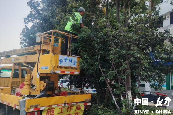 （应对情况）县城管局园林中心：高温下的 “护绿人” 以坚守绘就城市绿色底蕴