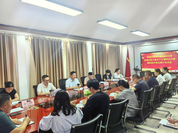 宛城区审计局召开高庙镇主要领导任期经济责任审计进点会