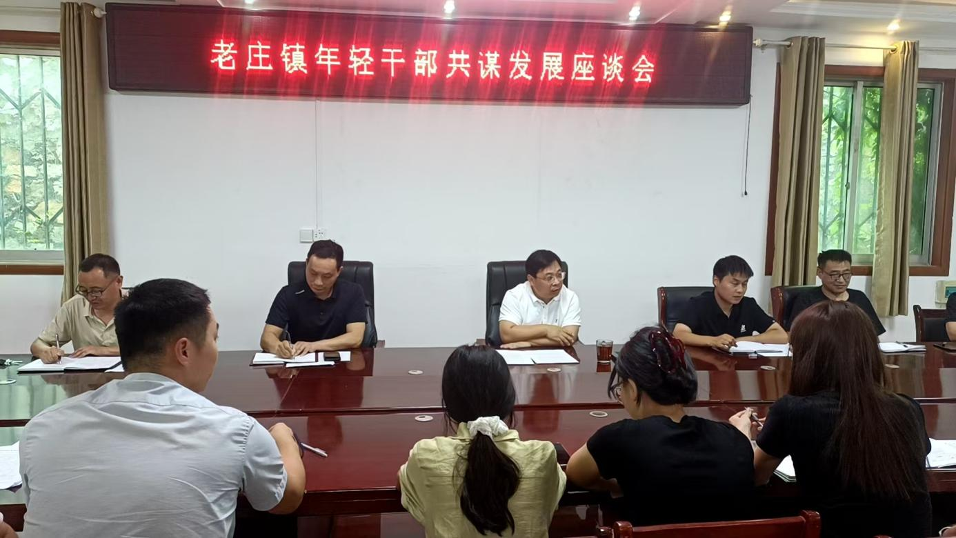 青春聚力破浪行：老庄镇青年干部共谋乡村振兴“金点子”