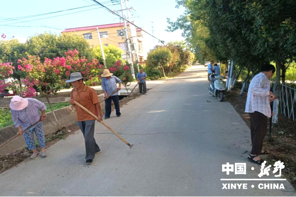 沙堰镇：常态化清洁日行动 人居环境全域提升