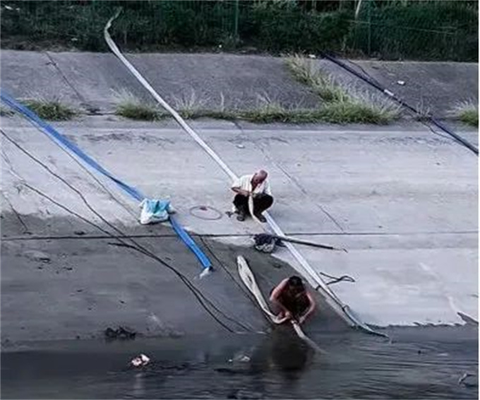 邓州市：科学用水管水 全力抗旱保秋