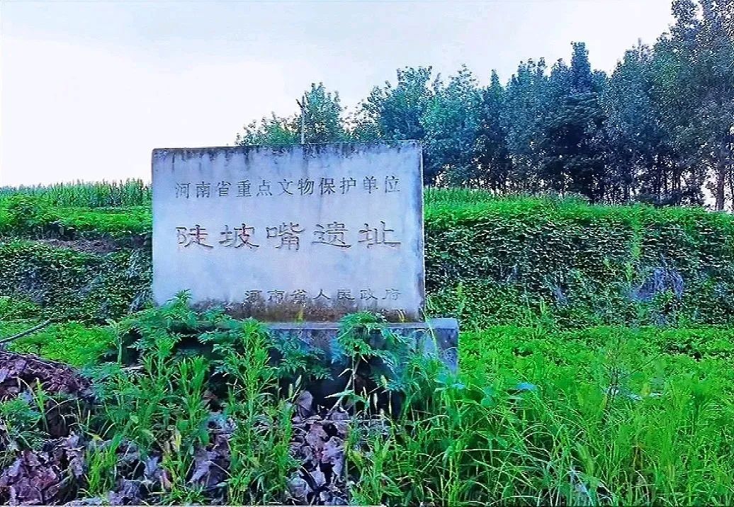 桐柏县新集乡 | 陡坡嘴遗址