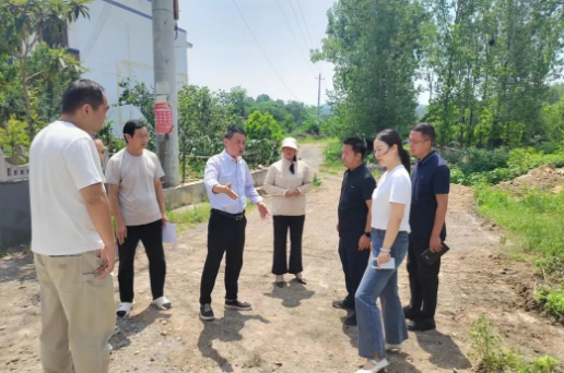 【12345热线】淅川县：多部门联动破解公路排水难题