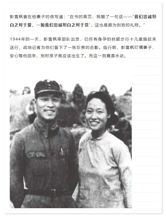 这是我看过最好的“情书”……