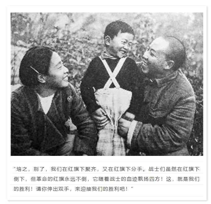 这是我看过最好的“情书”……